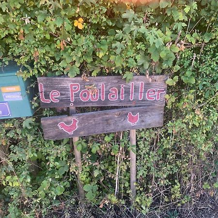 Logement Independant Le Poulailler Proche Guedelon Treigny Exterior photo